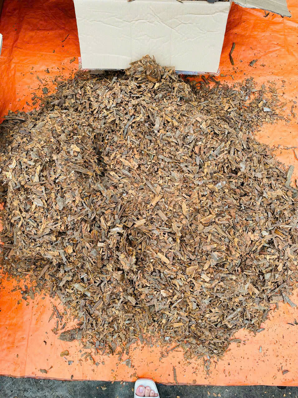 Cinnamon Chips