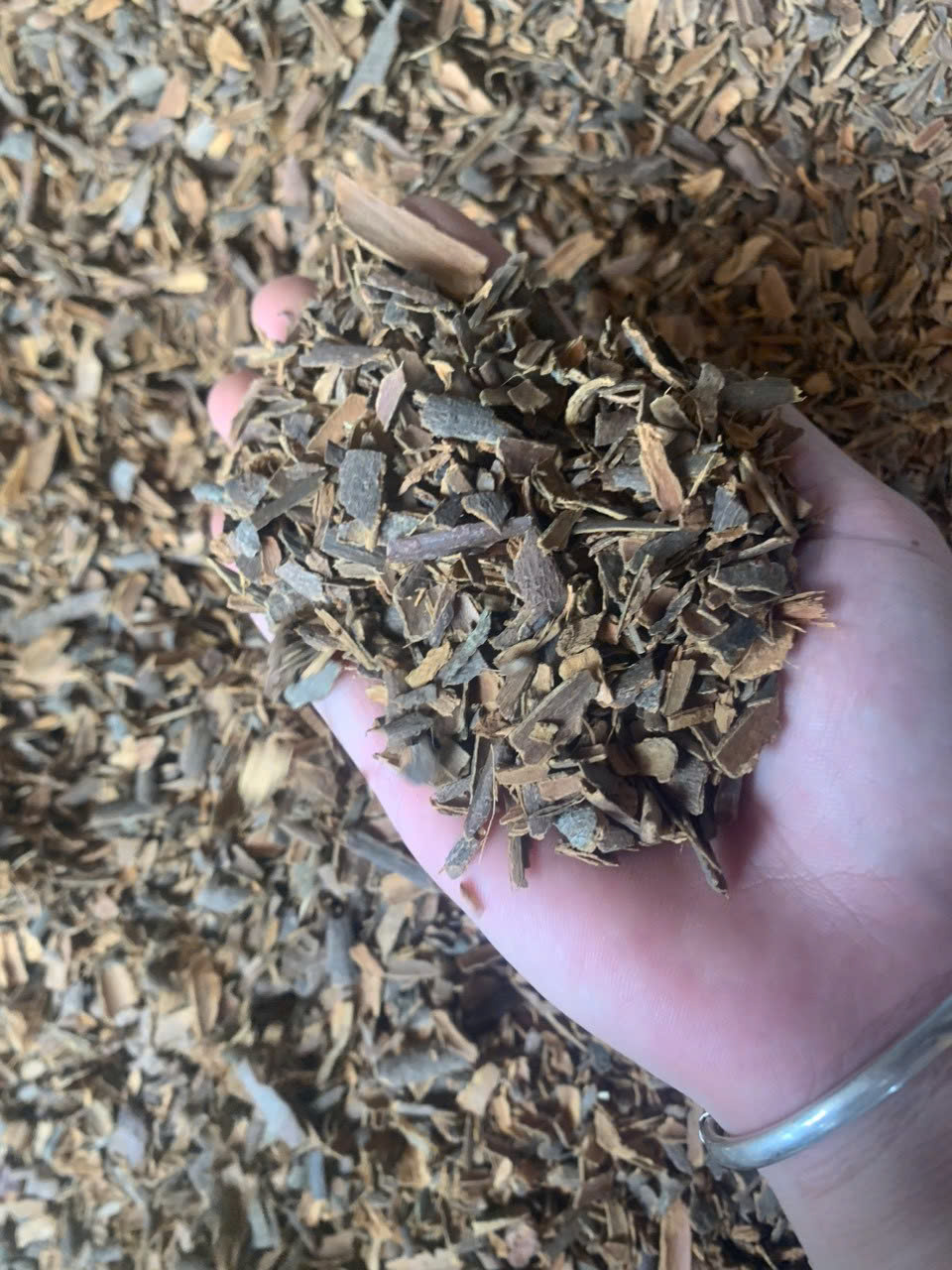 Cinnamon Chips