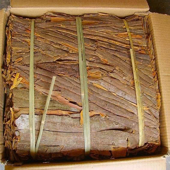 Cinnamon Pressed