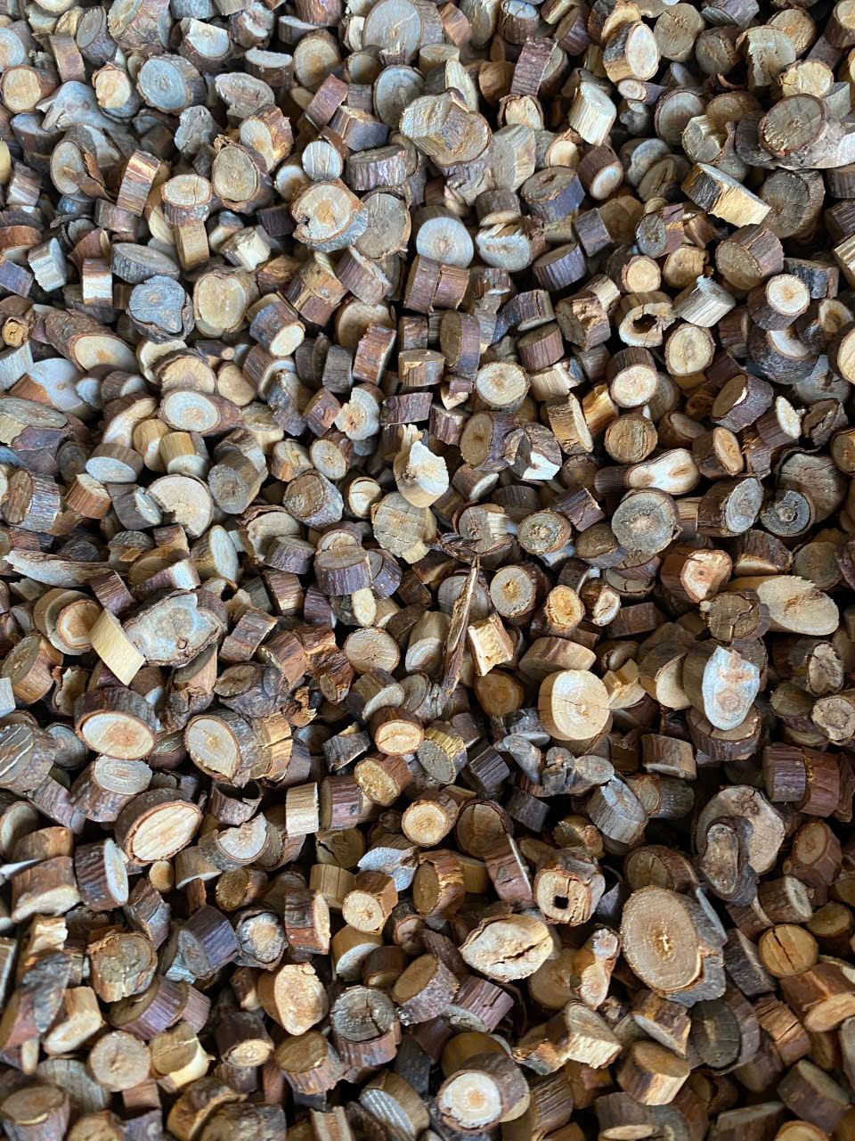 Cinnamon Ramulus view 2