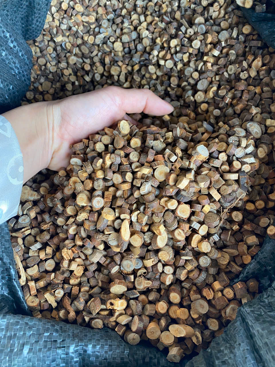 Cinnamon Ramulus