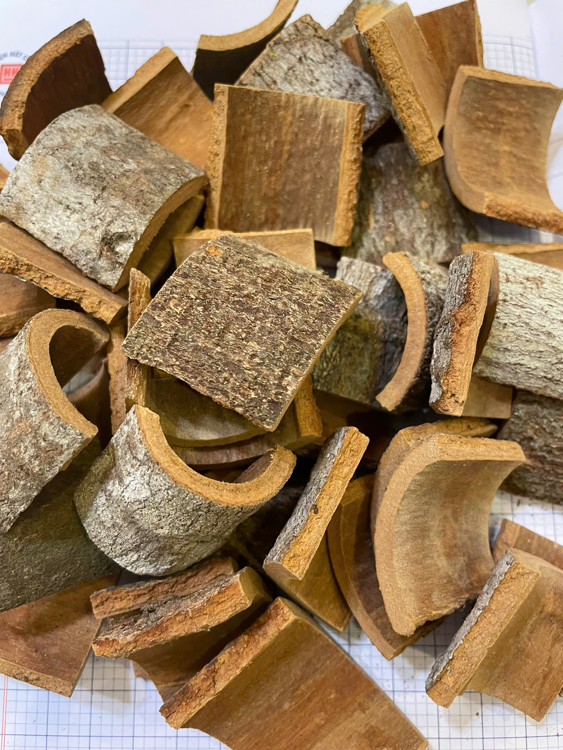 Cinnamon Squarecut with Skin view 2